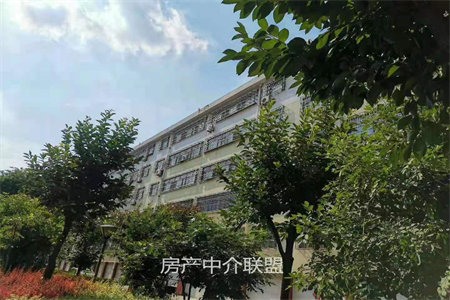 诸城一中高中部学区房，龙马家园，91平米